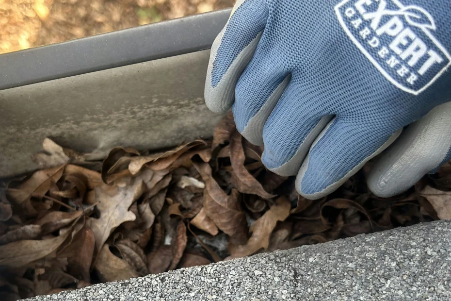 Gutter Cleaning McCalla